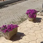 Luxury Stone House Vila