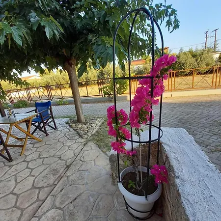 Luxury Stone House Villa